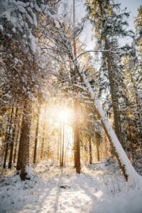 post eclipse seasonal living ritual under full moon