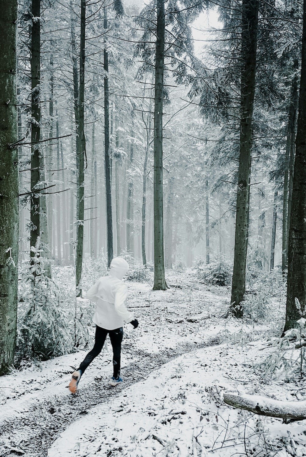 Woman walking on a snowy forest trail supporting nervous system regulation through seasonal living and time in nature